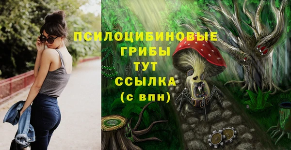 герыч Аркадак