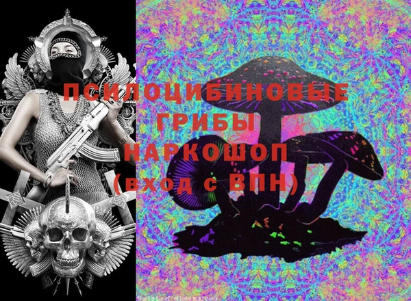 прущая мука Арсеньев