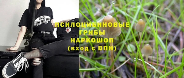 прущий лед Армянск