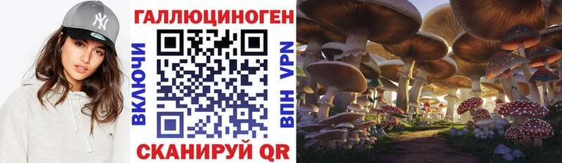Псилоцибиновые грибы мицелий  Куйбышев 